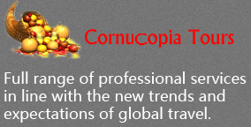 logo-footer